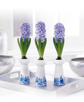 Bakker Spalding hyacinth vases