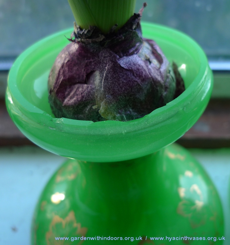 Tye uranium hyacinth vase with chips