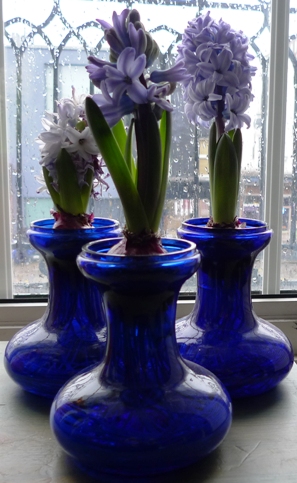 Tye hyacinth vases
