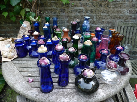 hyacinth vases and bulbs