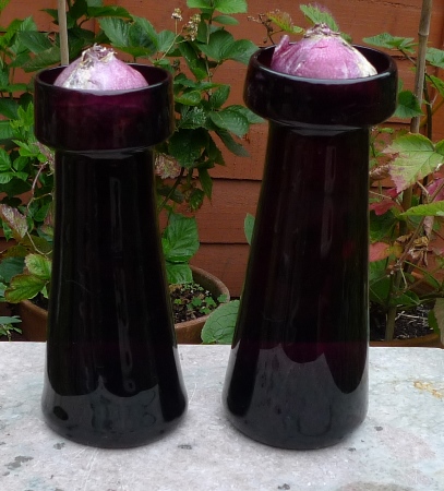 hyacinth vases