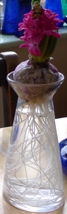 Jan Bos hyacinth in clear X hyacinth vase