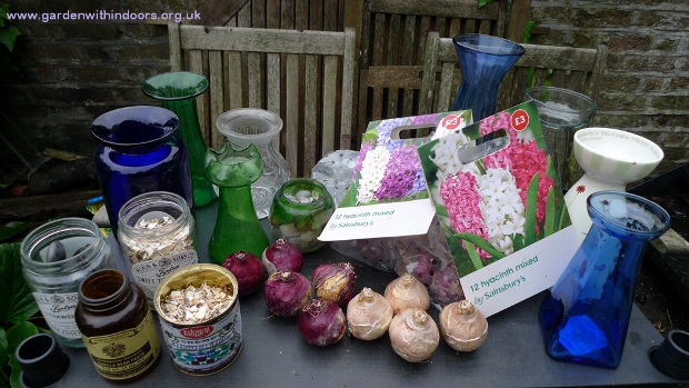 how to force hyacinth bulbs