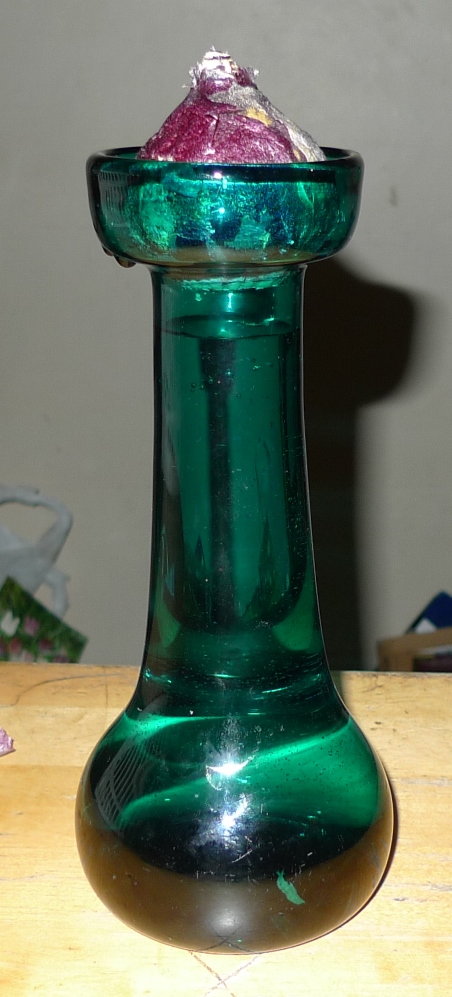 green Victorian dropped bulbous hyacinth vase