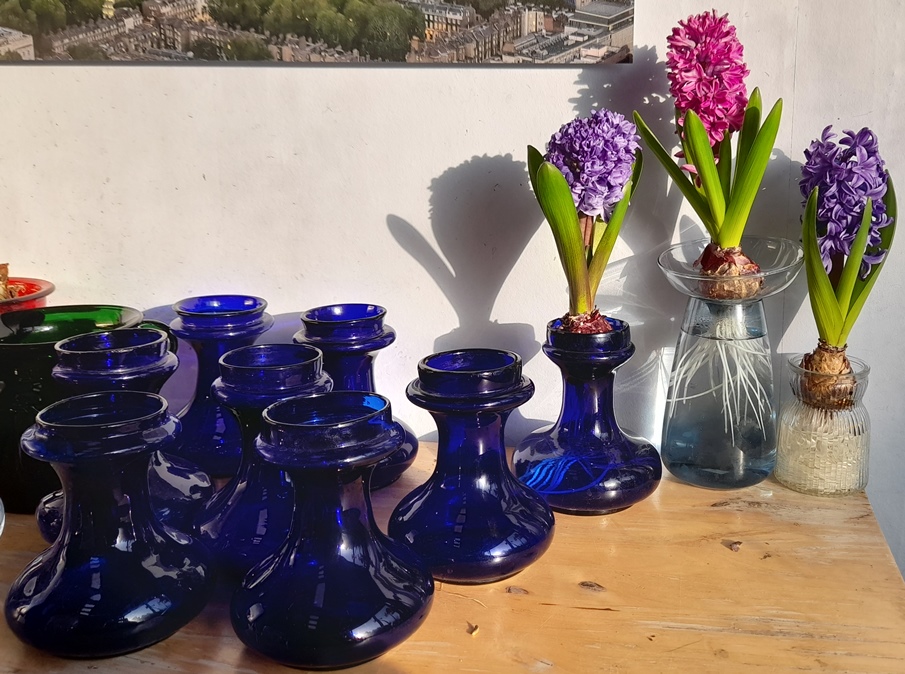 cobalt blue hyacinth vases