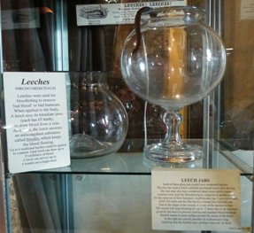 leech pots at the Old Operating Theatre