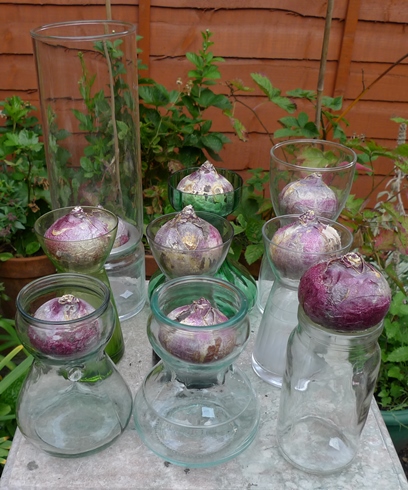 modern hyacinth vases
