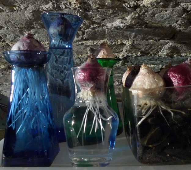 hyacinth vases