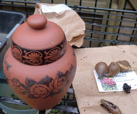 small tobacco jar with lid