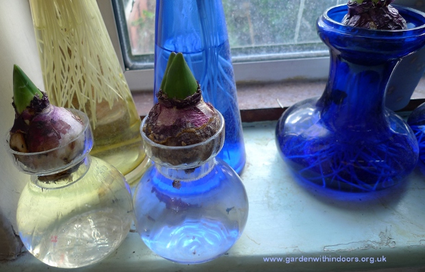 Dartington hyacinth vases
