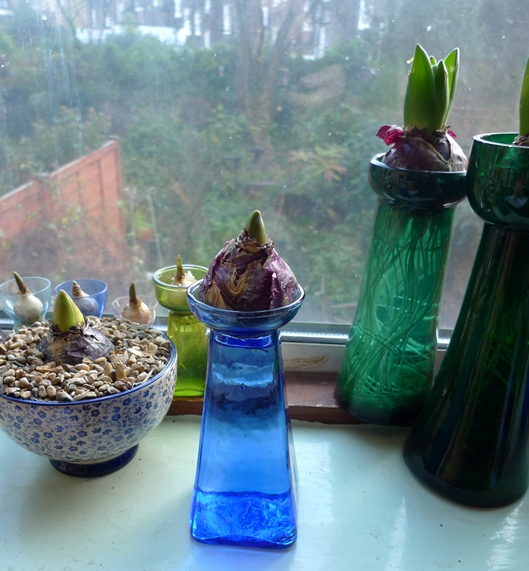 blue Ravenhead Naturals hyacinth vase