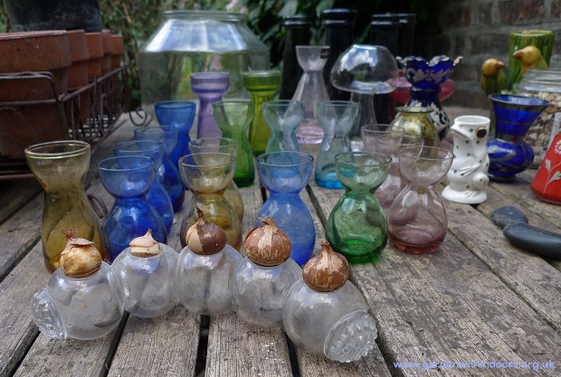 crocus vases glass ball joined posy