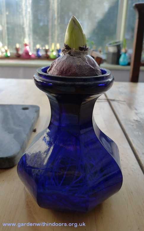 hexagonal Victorian cobalt blue hyacinth vase
