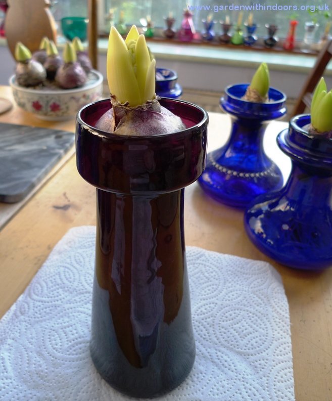 amethyst hand-blown hyacinth vase