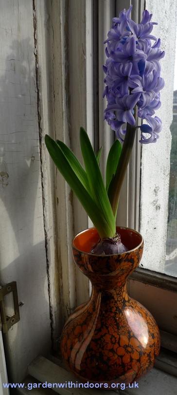 Delft Blue hyacinth in ByZantaware vase