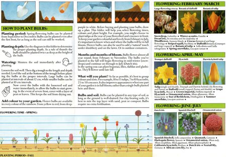 Plant Spring Now page 2